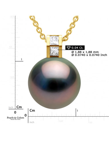 Pendientes Pearl Tahiti - Oro