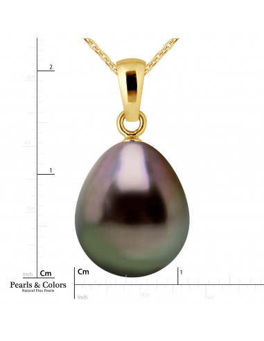 Tahitian Pearl Necklace - Gold